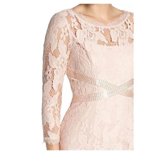 Adrianna Papell Blush Lace Gown - Picture 3 of 6